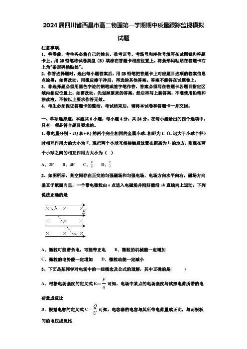 2024届四川省西昌市高二物理第一学期期中质量跟踪监视模拟试题含解析