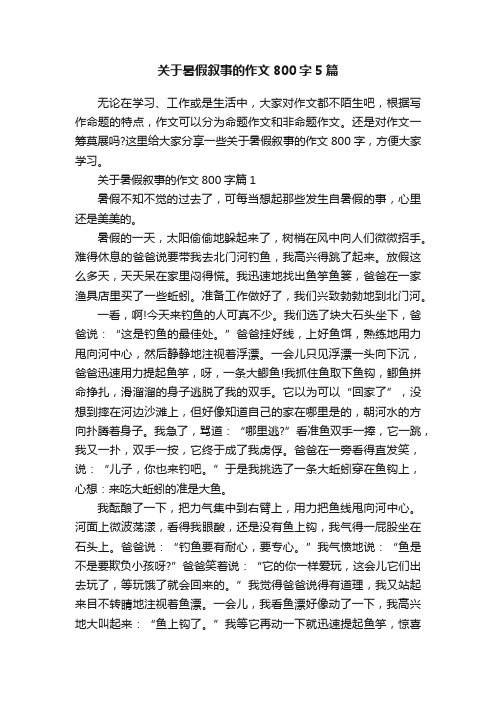 关于暑假叙事的作文800字5篇