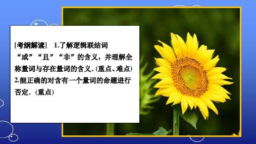 2020年高考数学(理科)一轮复习课件:第1章 集合与常用逻辑用语 第3讲