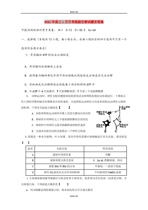 2021年高三1月月考理综生物试题含答案