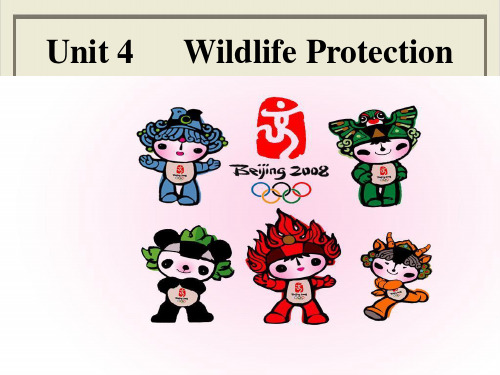 人教版高中英语必修二unit4wildlifeprotectionreading19张