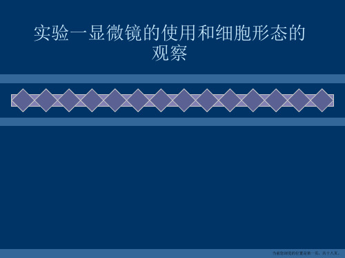 实验一显微镜的使用和细胞形态的观察