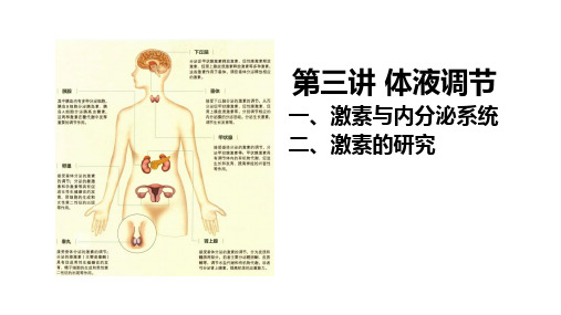 高三生物一轮复习课件3