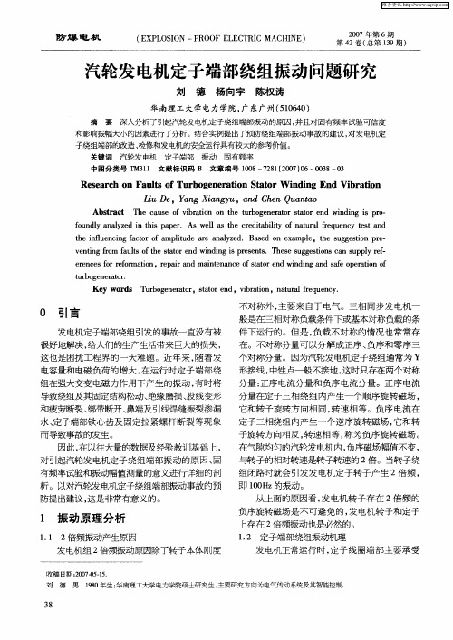 汽轮发电机定子端部绕组振动问题研究