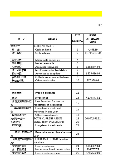 资产负债表模版