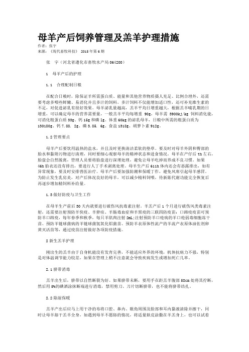 母羊产后饲养管理及羔羊护理措施