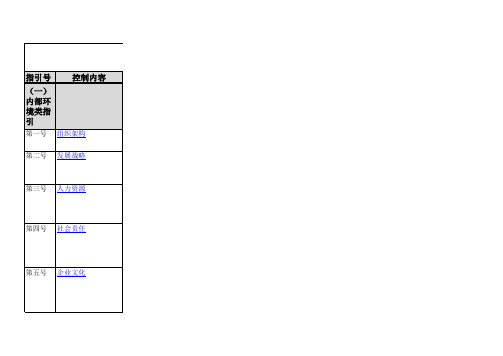 内控调研表-18个模块全