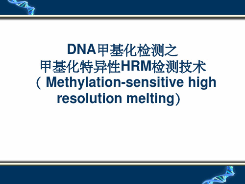 DNA甲基化检测技术ppt课件