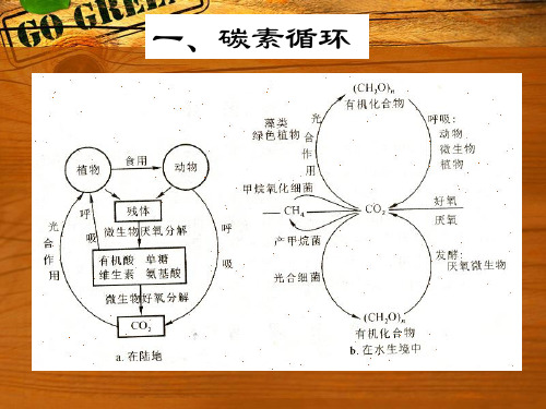 微生物和生物地球化学循环