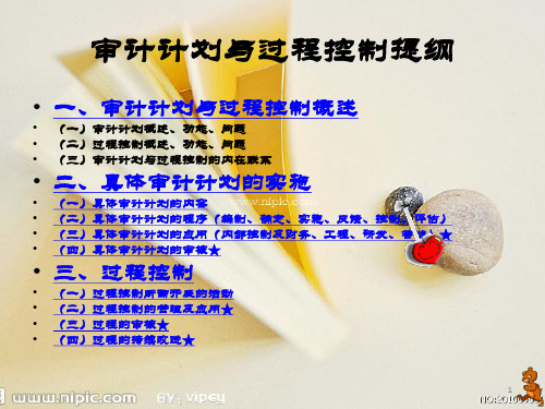 审计计划与过程控制-33页PPT资料