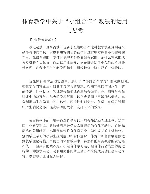 体育教学中关于“小组合作”教法的运用与思考