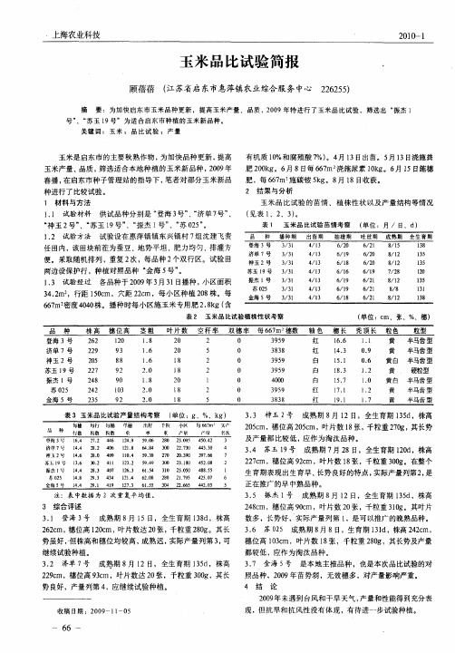 玉米品比试验简报