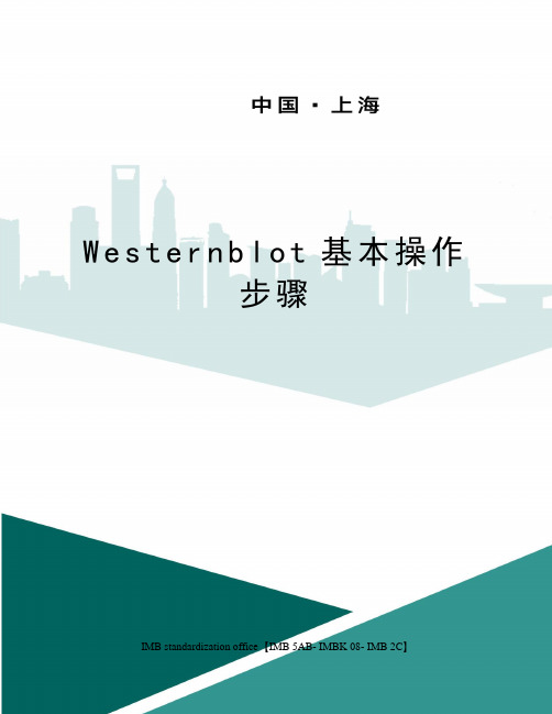 Westernblot基本操作步骤