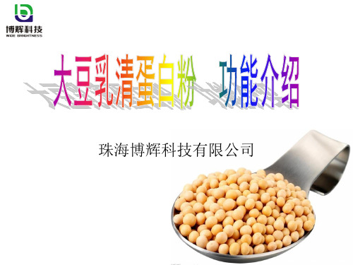 博辉大豆乳清蛋白粉