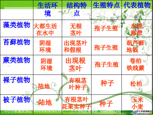 济南版生物七上第二节《绿色植物的蒸腾作用》ppt课件之二