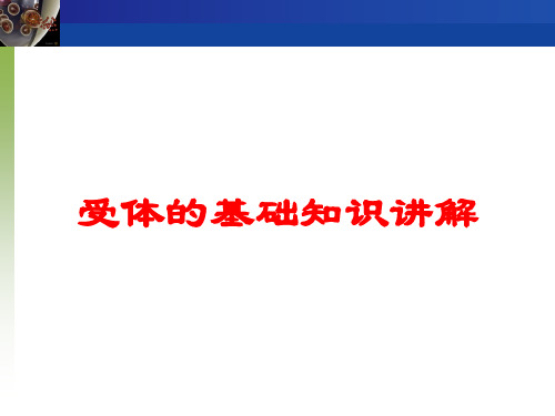 受体的基础知识讲解培训课件