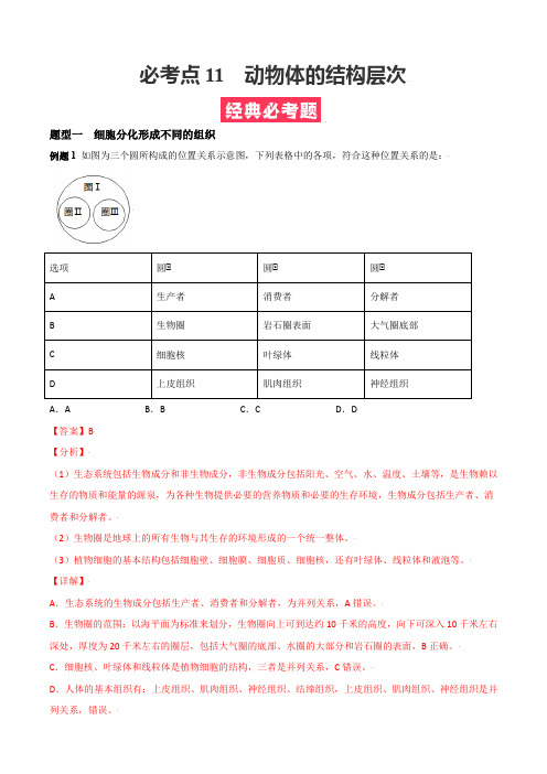 必考点11  动物体的结构层次-(人教版)(解析版)