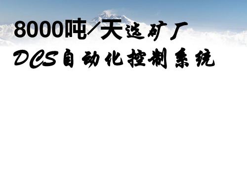 8000t╱d 选矿厂DCS自动化控制系统培训教材