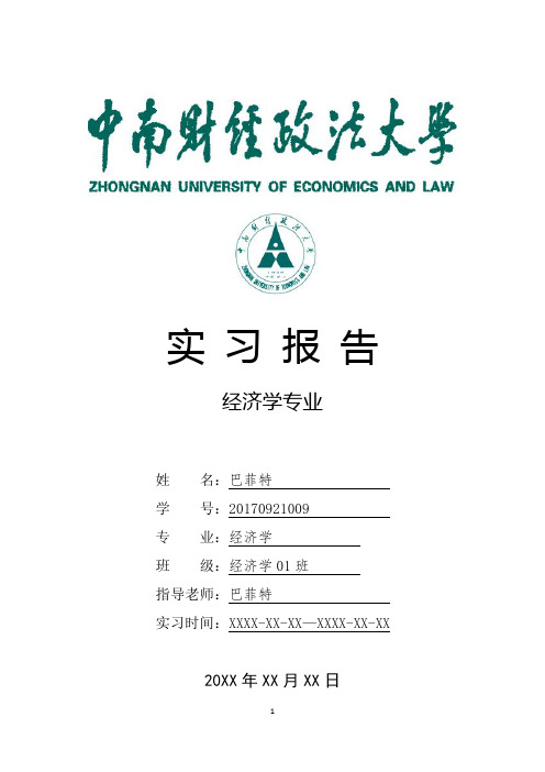 中南财经政法大学经济学专业实习总结报告范文模板