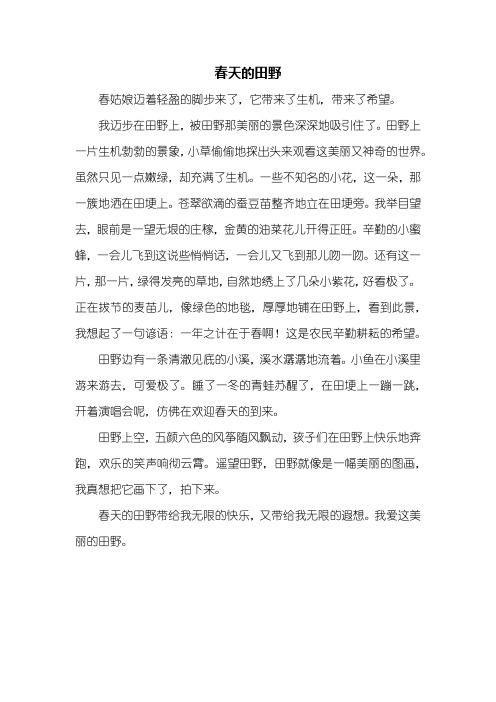 写景作文:春天的田野作文500字