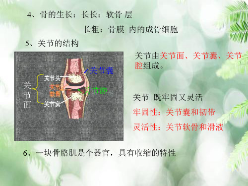 人体生理卫生PPT教学课件