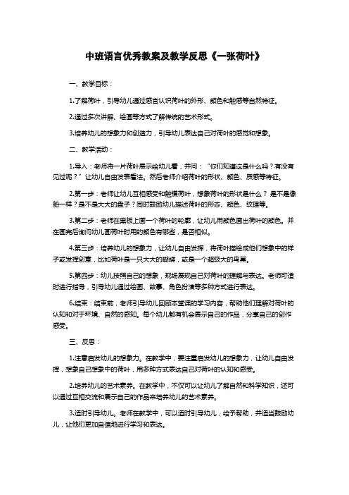 中班语言优秀教案及教学反思《一张荷叶》