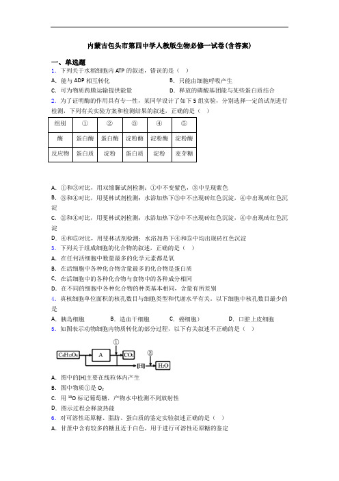 内蒙古包头市第四中学人教版生物必修一试卷(含答案)