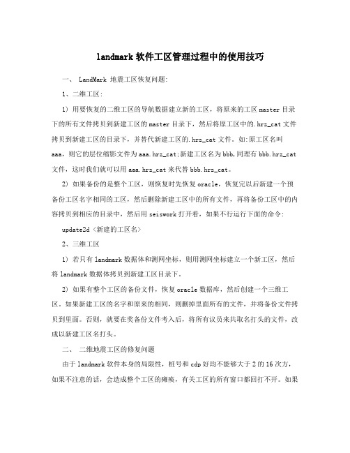 landmark软件工区管理过程中的使用技巧