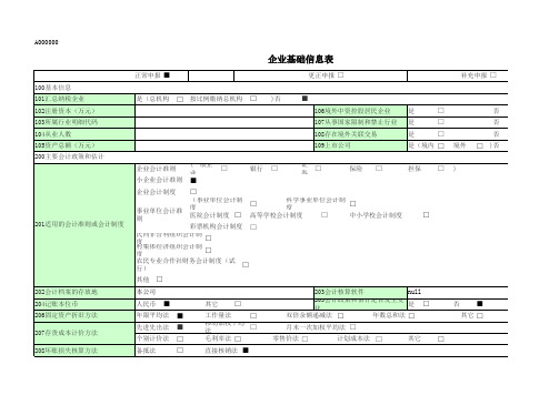 A000000企业基础信息表