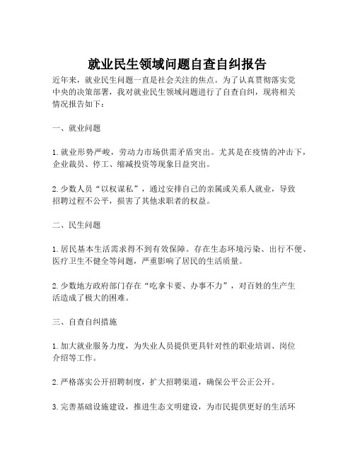 就业民生领域问题自查自纠报告