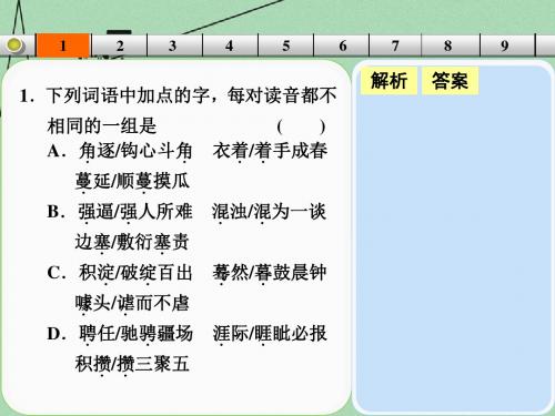 【步步高】山东省高考语文大一轮复习讲义 小题抓分天天练 第17天课件 鲁人版