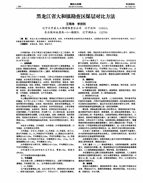 黑龙江省大和镇勘查区煤层对比方法