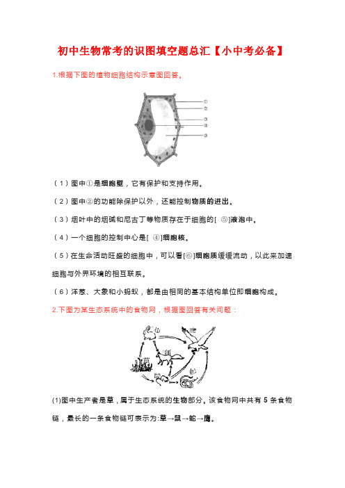 初中生物常考的识图填空题总汇【小中考必备】