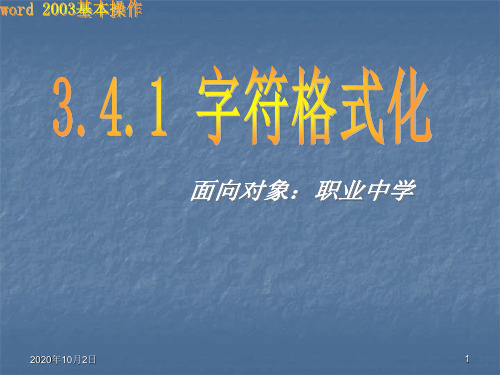 字符的格式化PPT课件