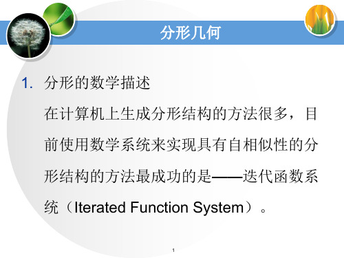 分形几何 ppt课件