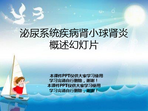 泌尿系统疾病肾小球肾炎概述幻灯片