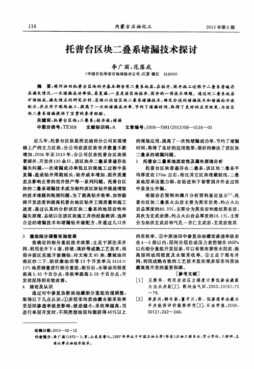 托普台区块二叠系堵漏技术探讨