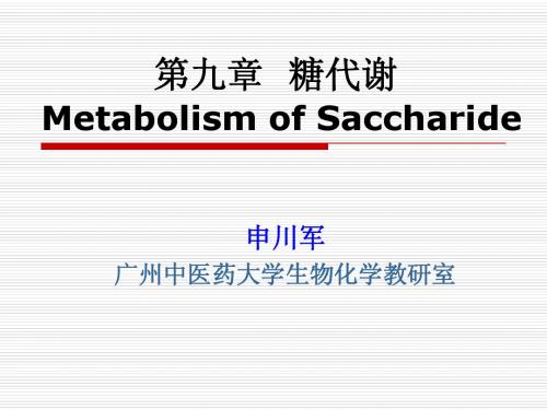 第九章 糖代谢