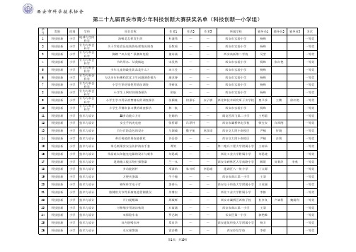 创新大赛项目