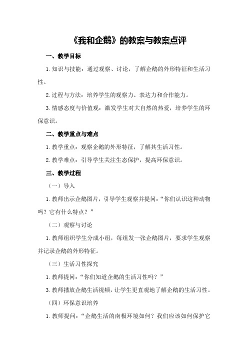 《我和企鹅》的教案与教案点评