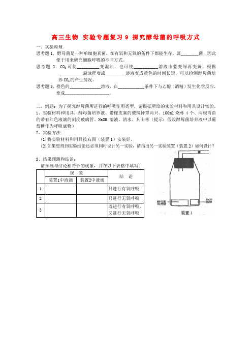 高三生物实验专题复习教案：9 探究酵母菌的呼吸方式