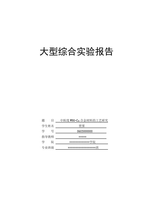 大型综合实验报告