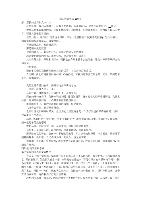 我的世界作文800字