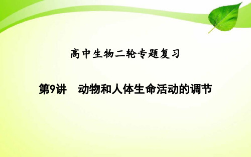 2021届 高中生物二轮专题复习:动物和人体生命活动的调节 课件