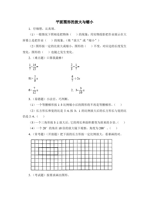 六年级数学下册《平面图形的放大与缩小》同步练习及答案