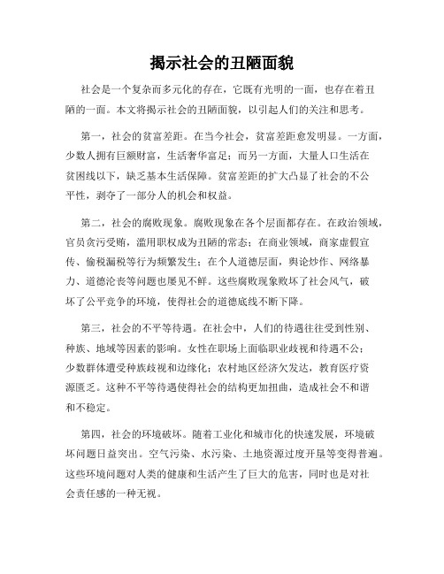 揭示社会的丑陋面貌