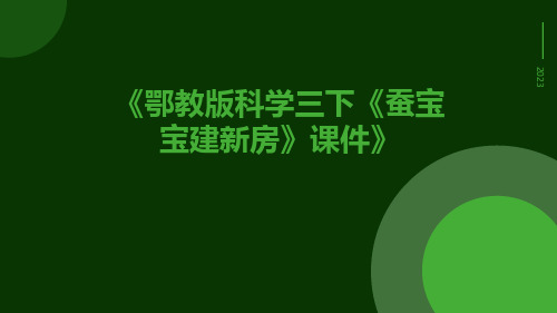 鄂教版科学三下《蚕宝宝建新房》课件