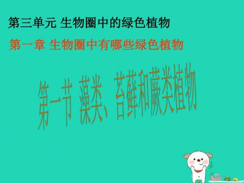 七年级生物上册3.1.1《藻类、苔藓和蕨类植物》课件1(