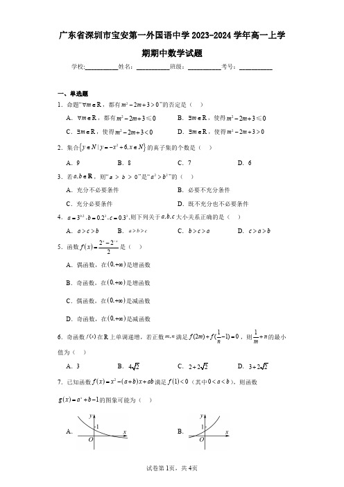 广东省深圳市宝安第一外国语中学2023-2024学年高一上学期期中数学试题