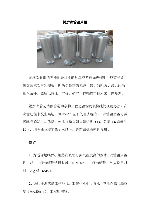 锅炉吹管消声器